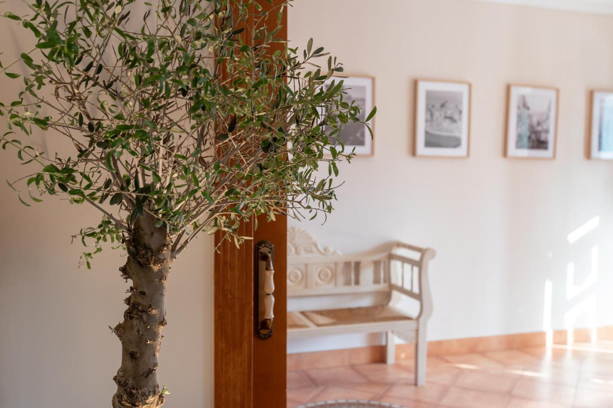 La Casita Del Mar Villa Torremolinos Ngoại thất bức ảnh